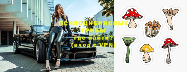 стафф Абдулино