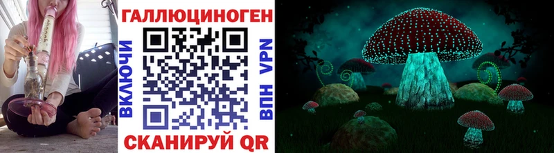 Псилоцибиновые грибы Psilocybine cubensis Нерчинск